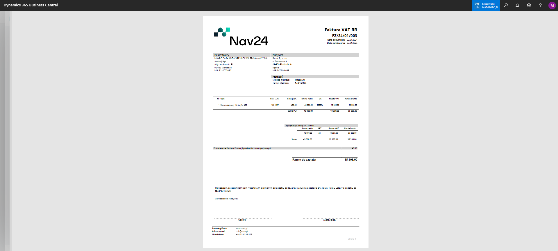 RR invoice print preview